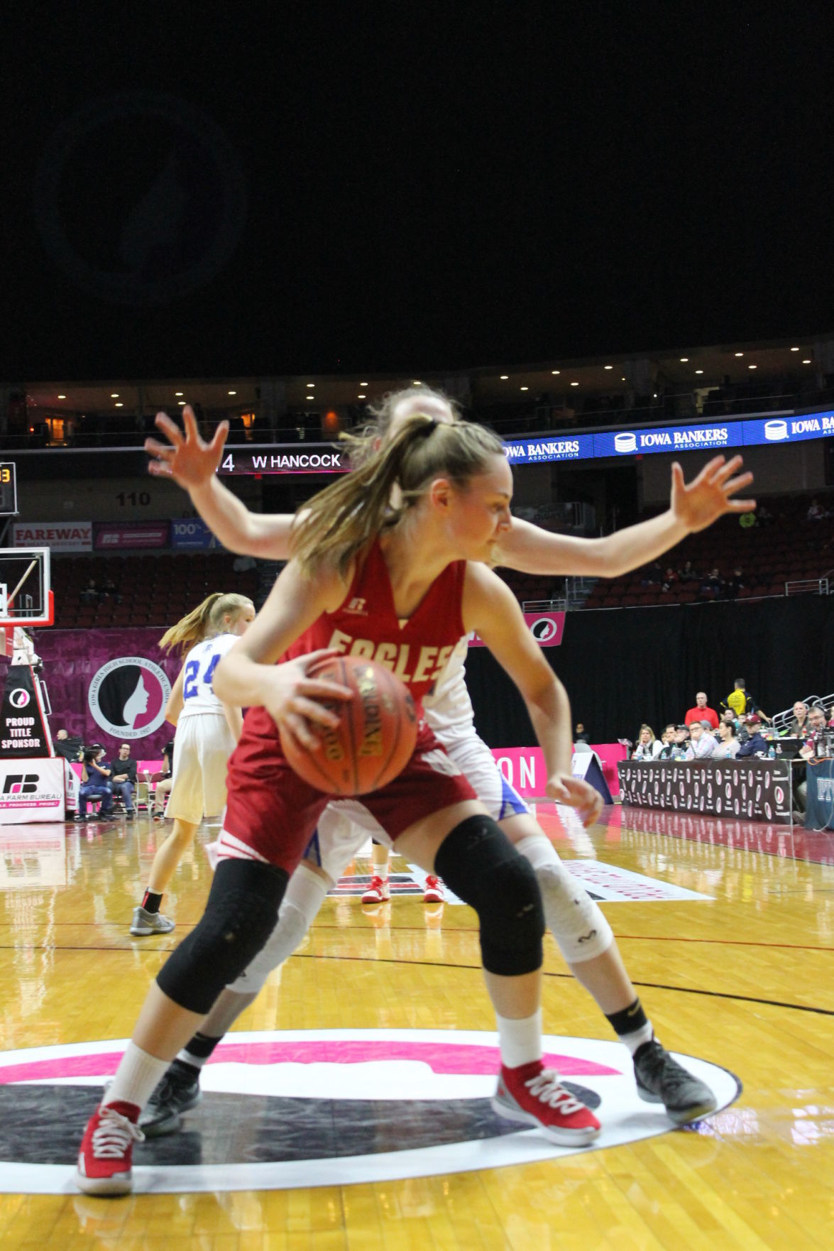 wh state championship game 3-2-2019 017.JPG
